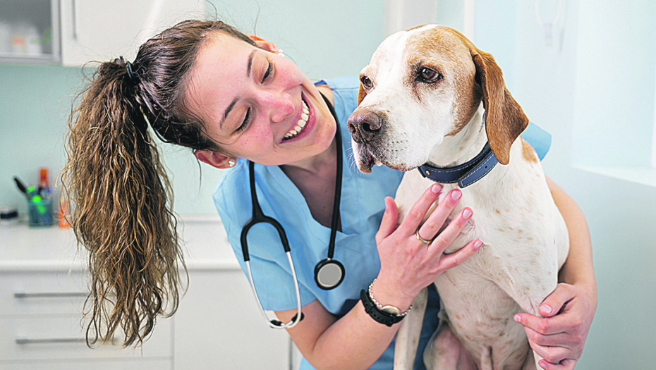 I NE POKUŠAVAJTE Psi znaju kada ih lažemo