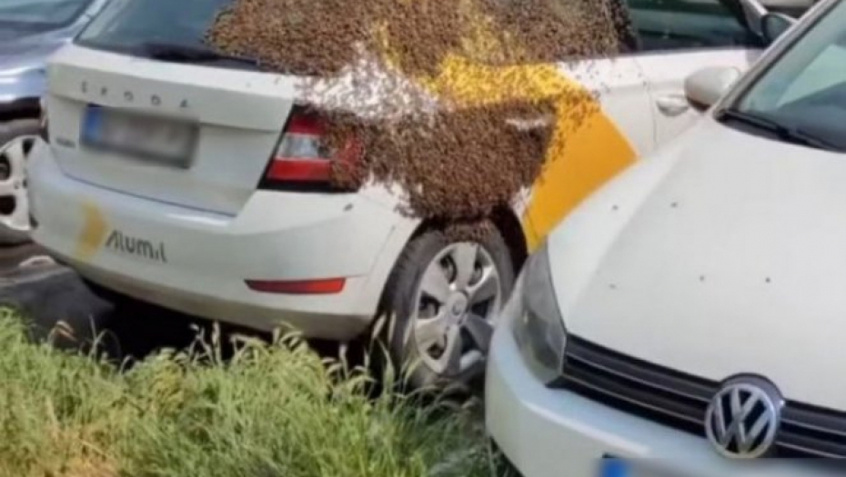 UŽASAVAJUĆA SCENA U MIRIJEVU Čovek zatekao auto u zastrašujućem stanju, nije smeo da priđe