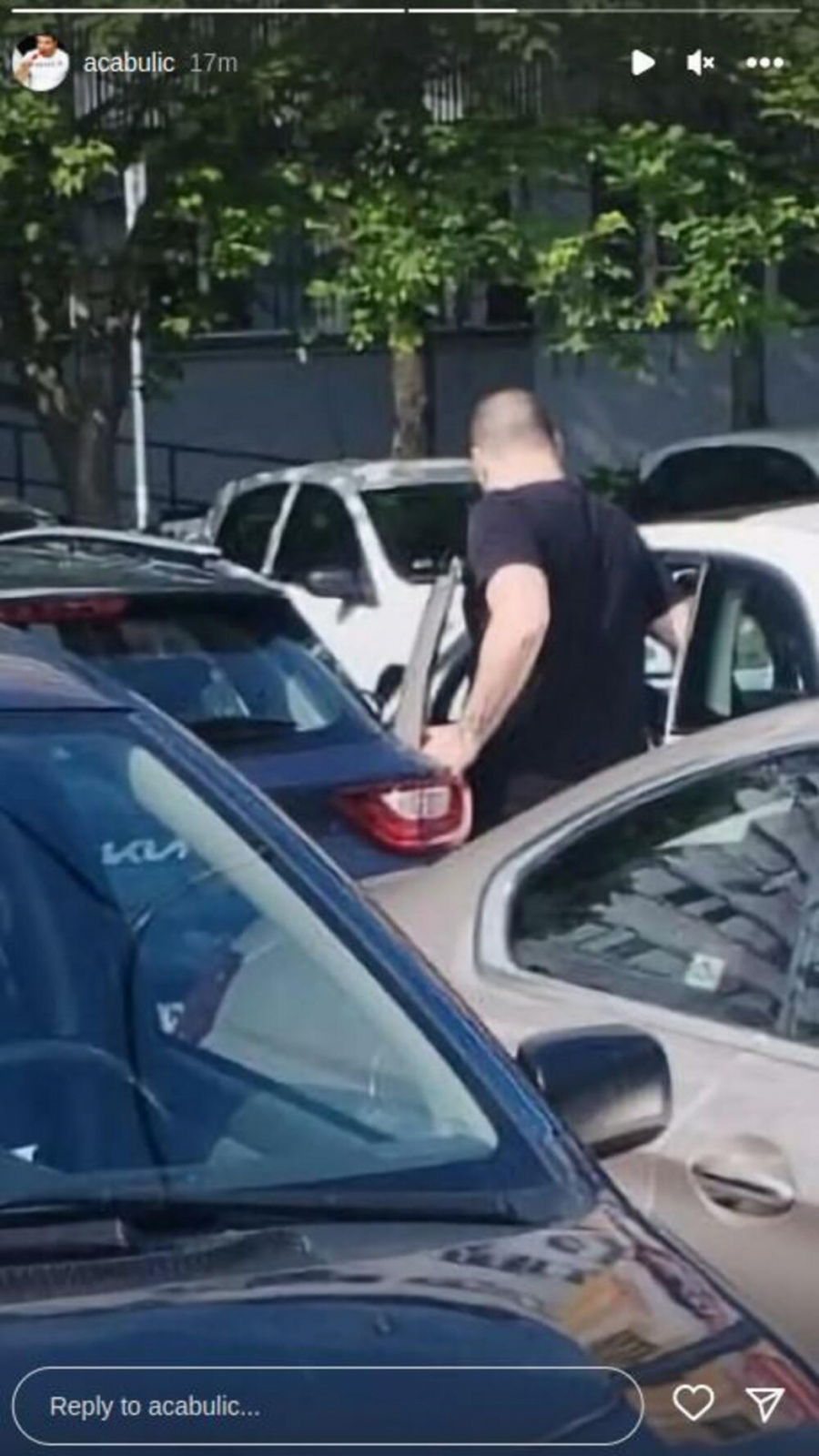 Aca Bulić prati Zvezdana