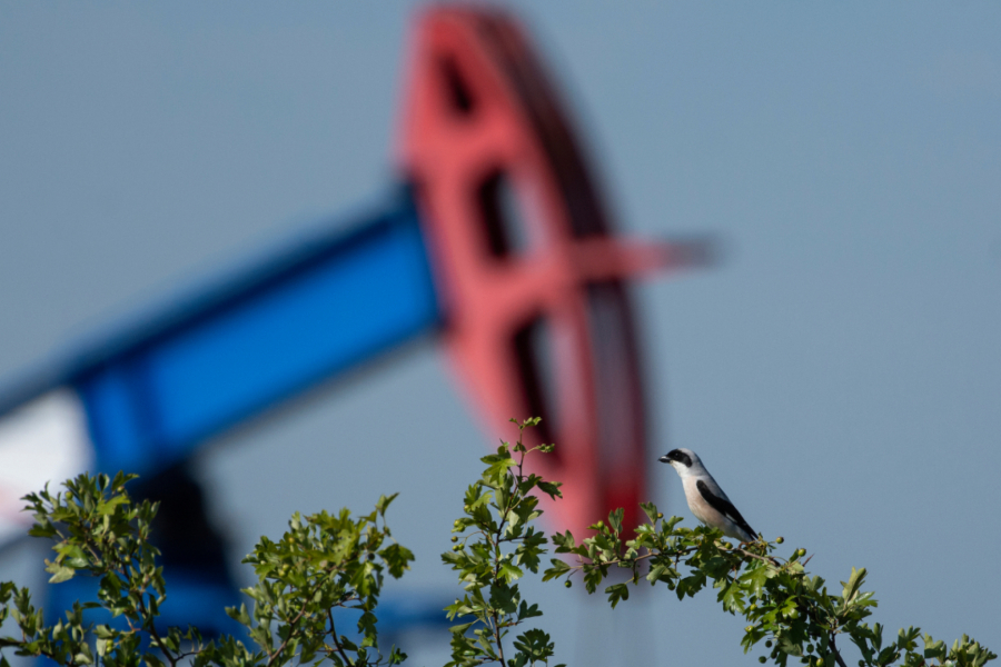 Naftna industrija NIS