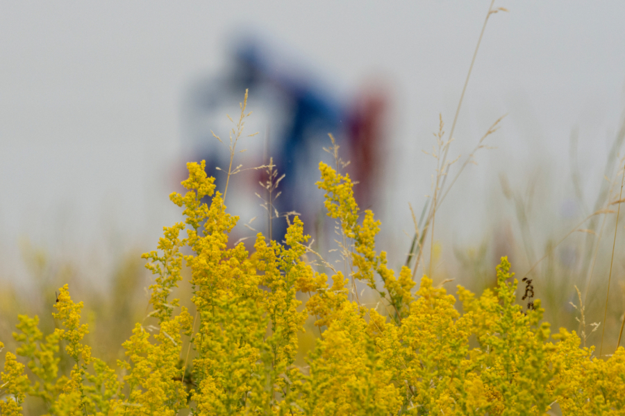 Naftna industrija NIS