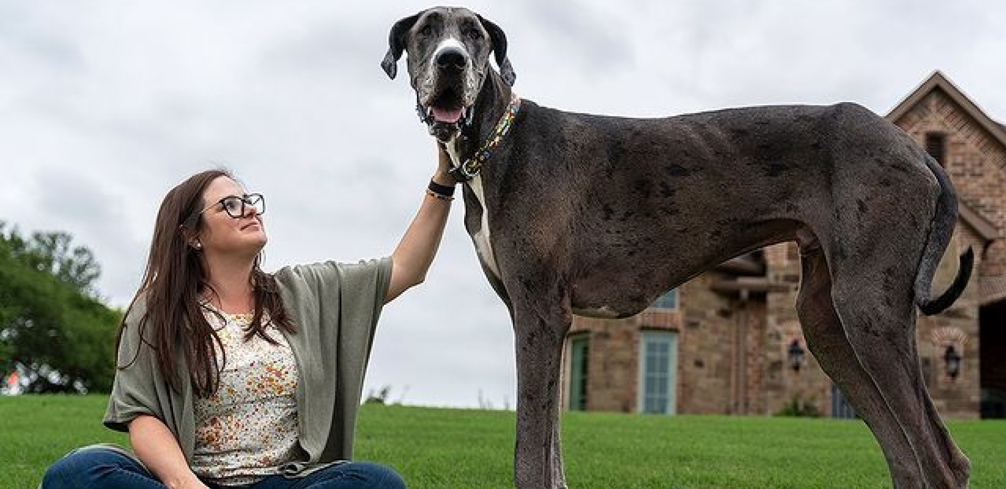 Najveći pas na svetu/Ginisova knjiga rekorda