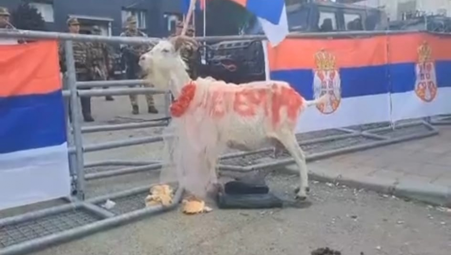 Koza na protestima Srba