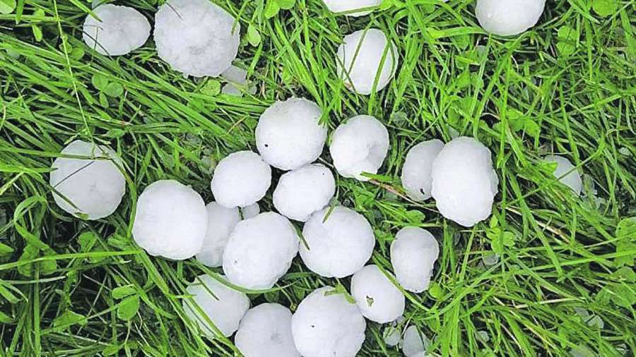 grad desetkovao maline u Srbiji