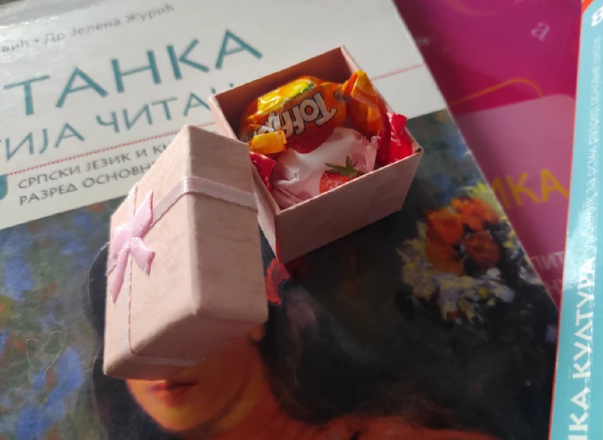 nastavnica iz pančeva