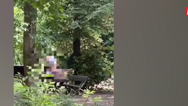 Narkomani u Banjičkoj šumi