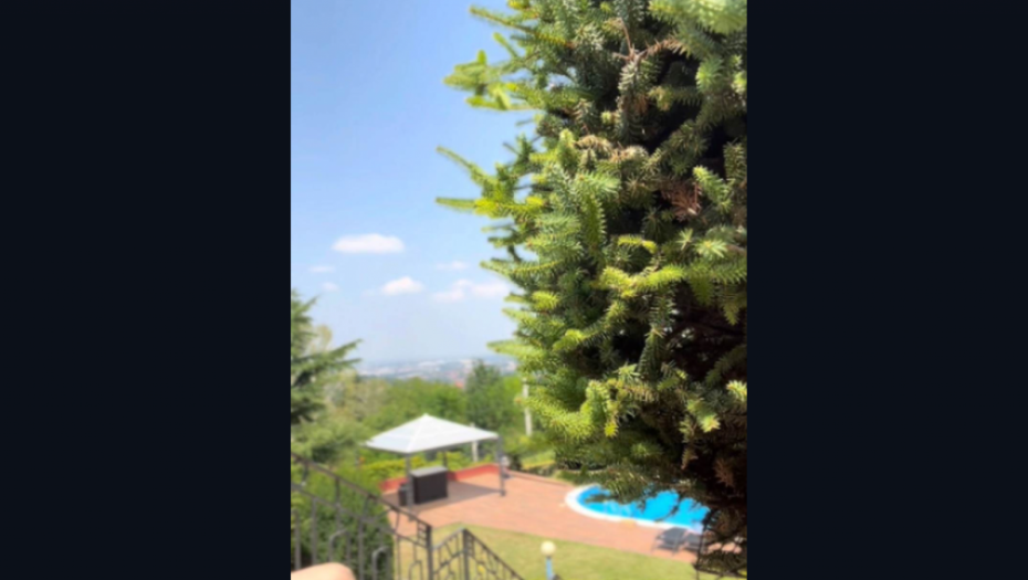 Vikendica Kristine Radenković