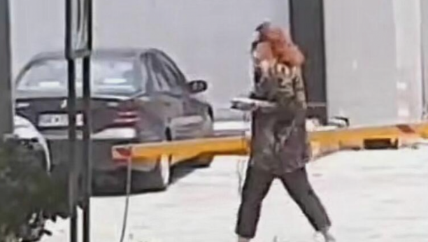 Hit paparaco Ane Bekute