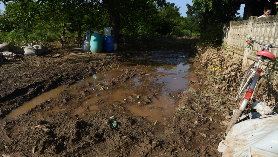 Foto: Peđa Vučković