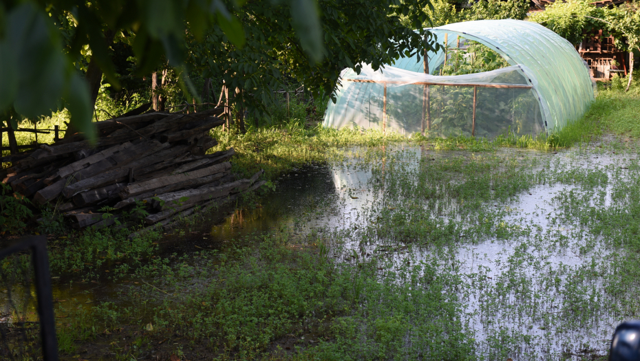 Foto: Peđa Vučković