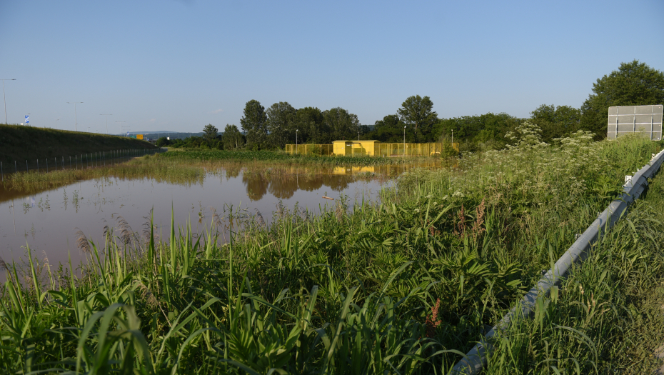 Foto: Peđa Vučković