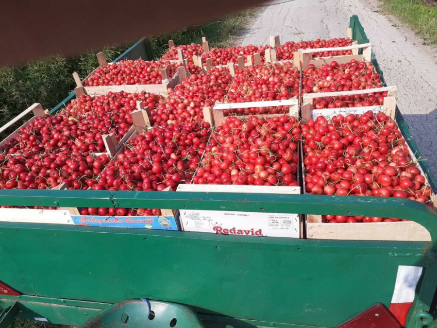 Nevreme protutnjalo Srbijom