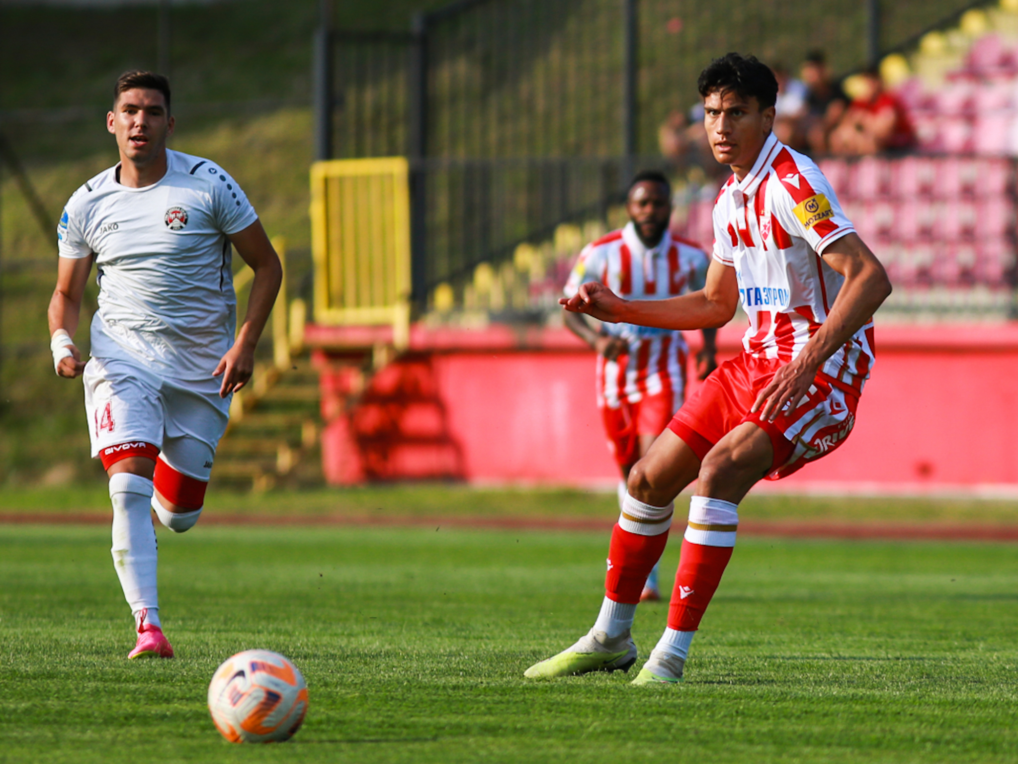 FK Crvena zvezda