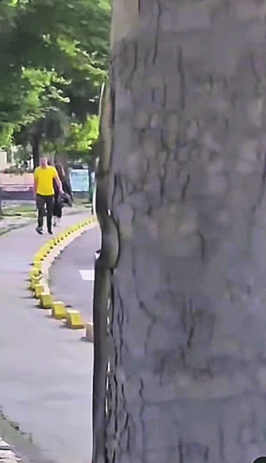 invazija zmija u Srbiji