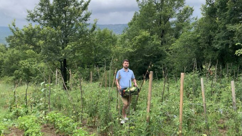 jakov milatović bere povrće u bašti