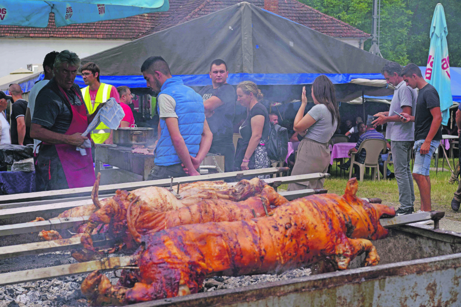 Dulenska štraparijada, takmičenje konja