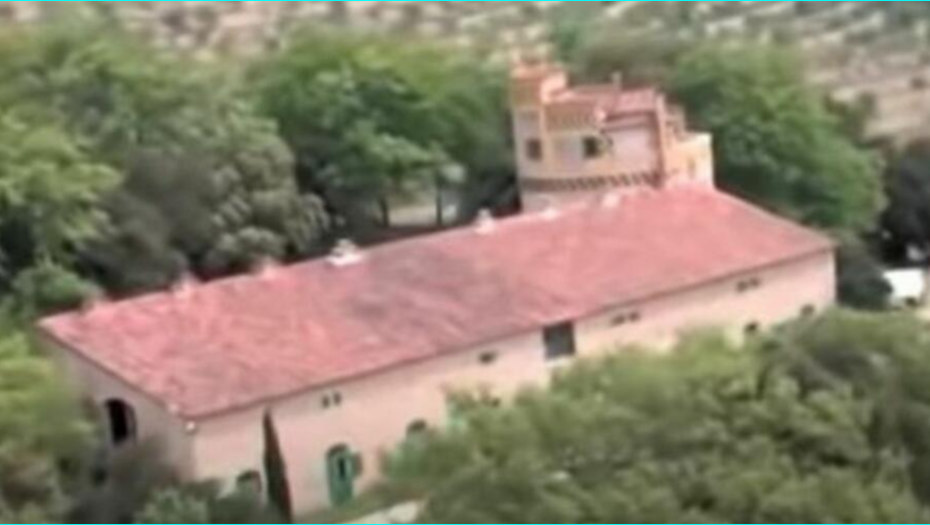 Vinograd zbog koga se bivši par sudi 