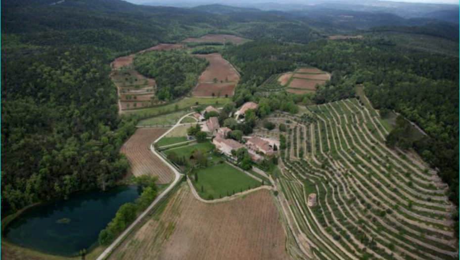 Vinograd zbog koga se bivši par sudi 