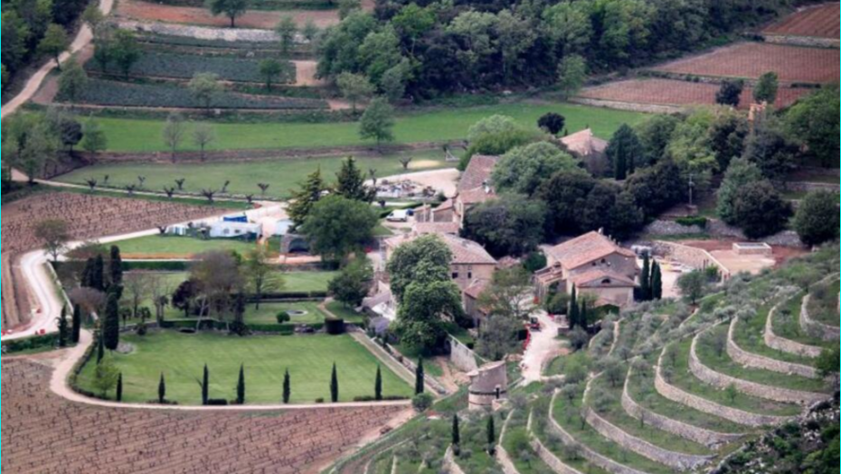 Vinograd zbog koga se bivši par sudi 