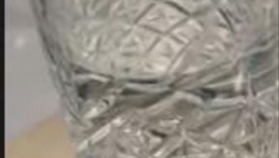 Jovana Jeremić u izlasku