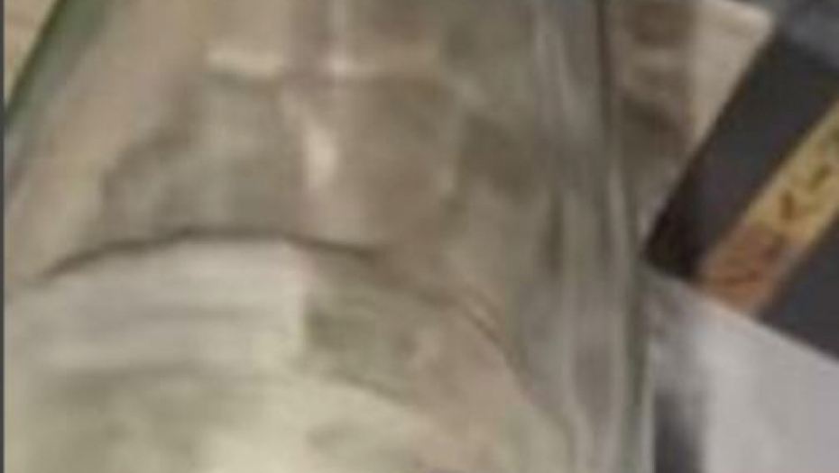 Jovana Jeremić u izlasku