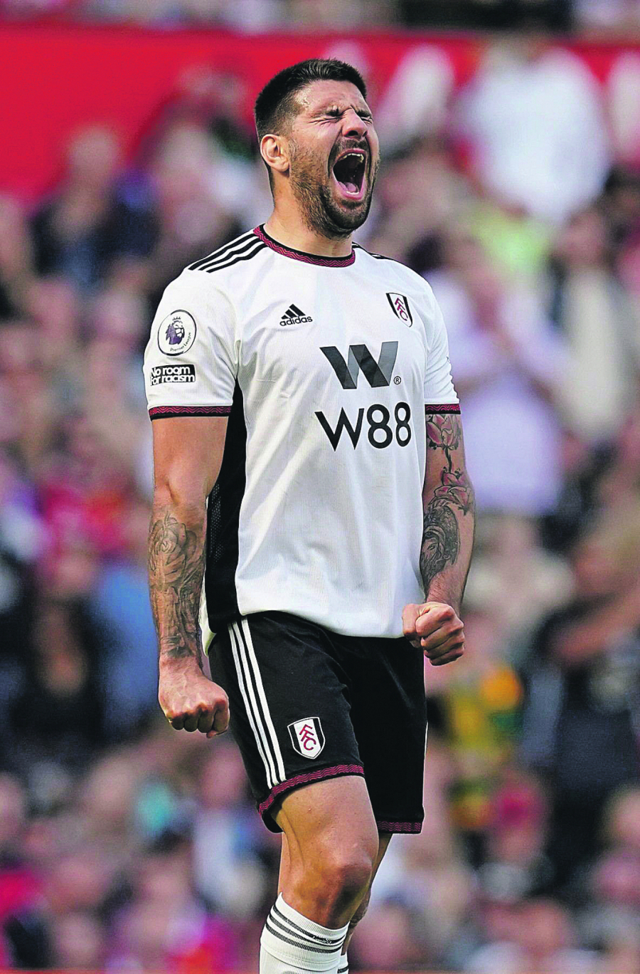 Aleksandar Mitrović