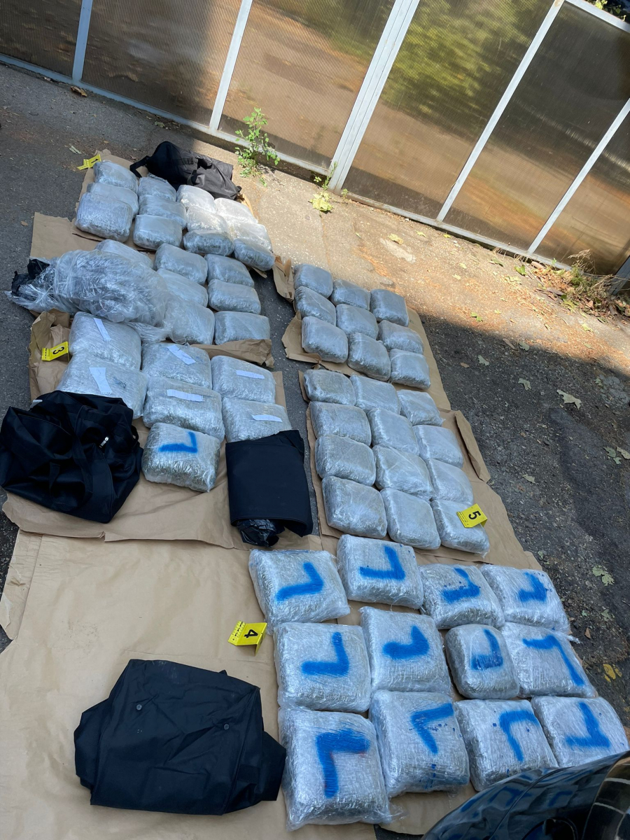 Hapšenje Zvicerovog vojnika