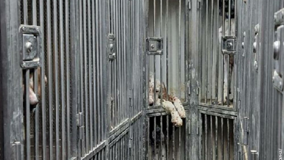 Foto: Uprava carina Republike Srbije