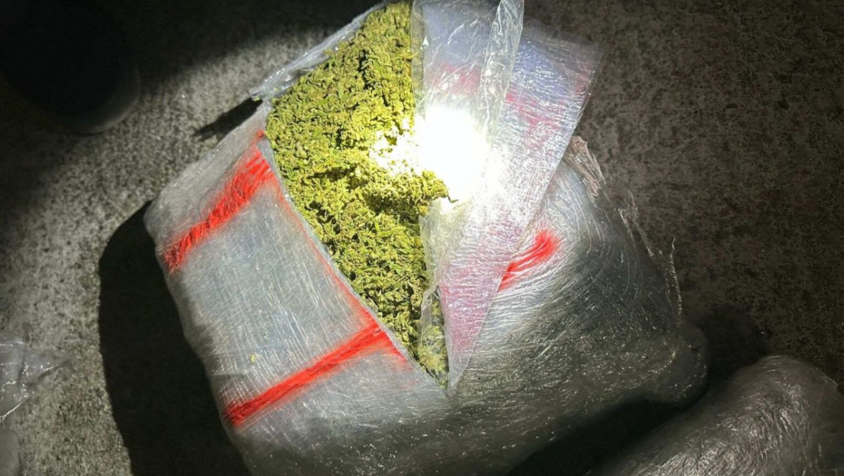 zaplenjena marihuana