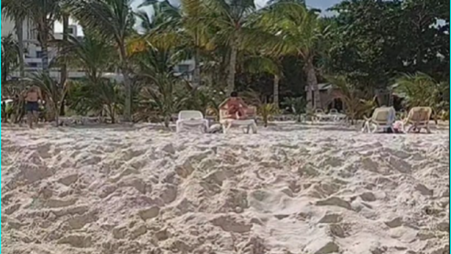 Matora i Anita na medenom mesecu 