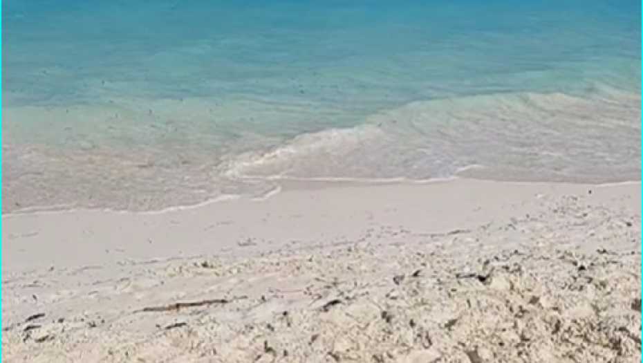 Matora i Anita na medenom mesecu 