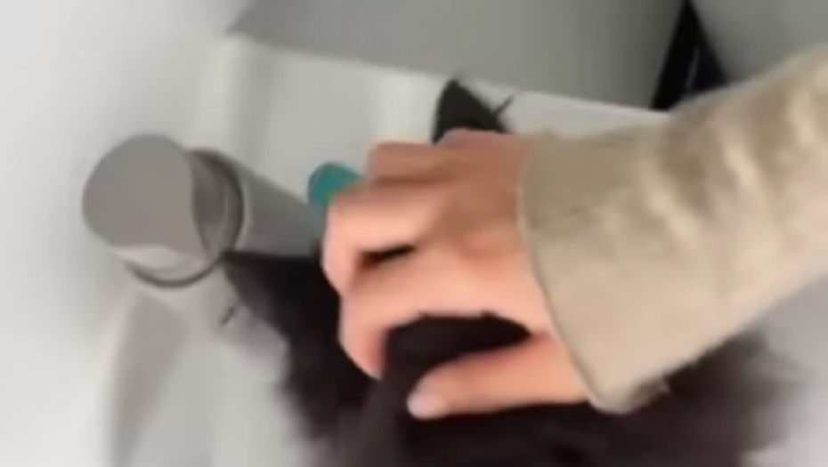 Vojaž sa novom devojkom