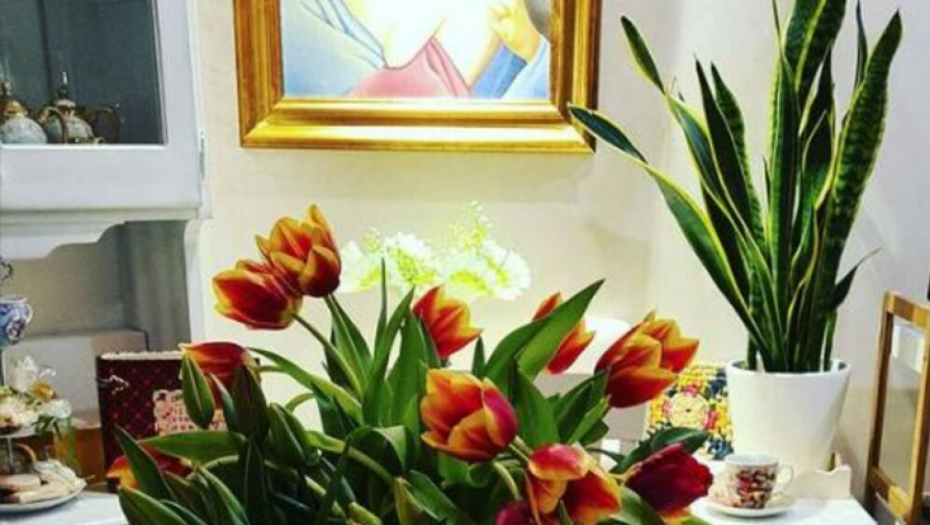 Dom Milomira Marića