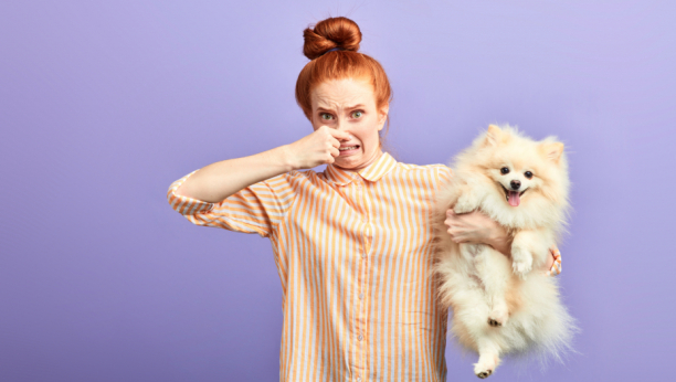 neprijatan miris kod pasa