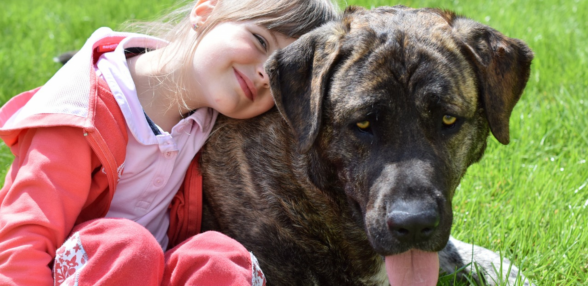 Devojčica se izgubila sa psima