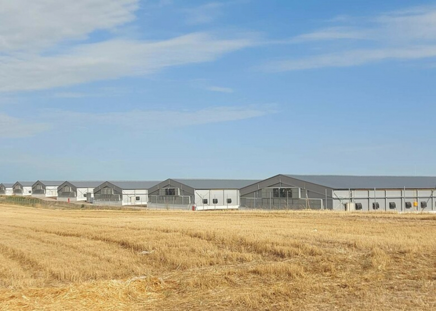 Perutnina Ptuj Topiko