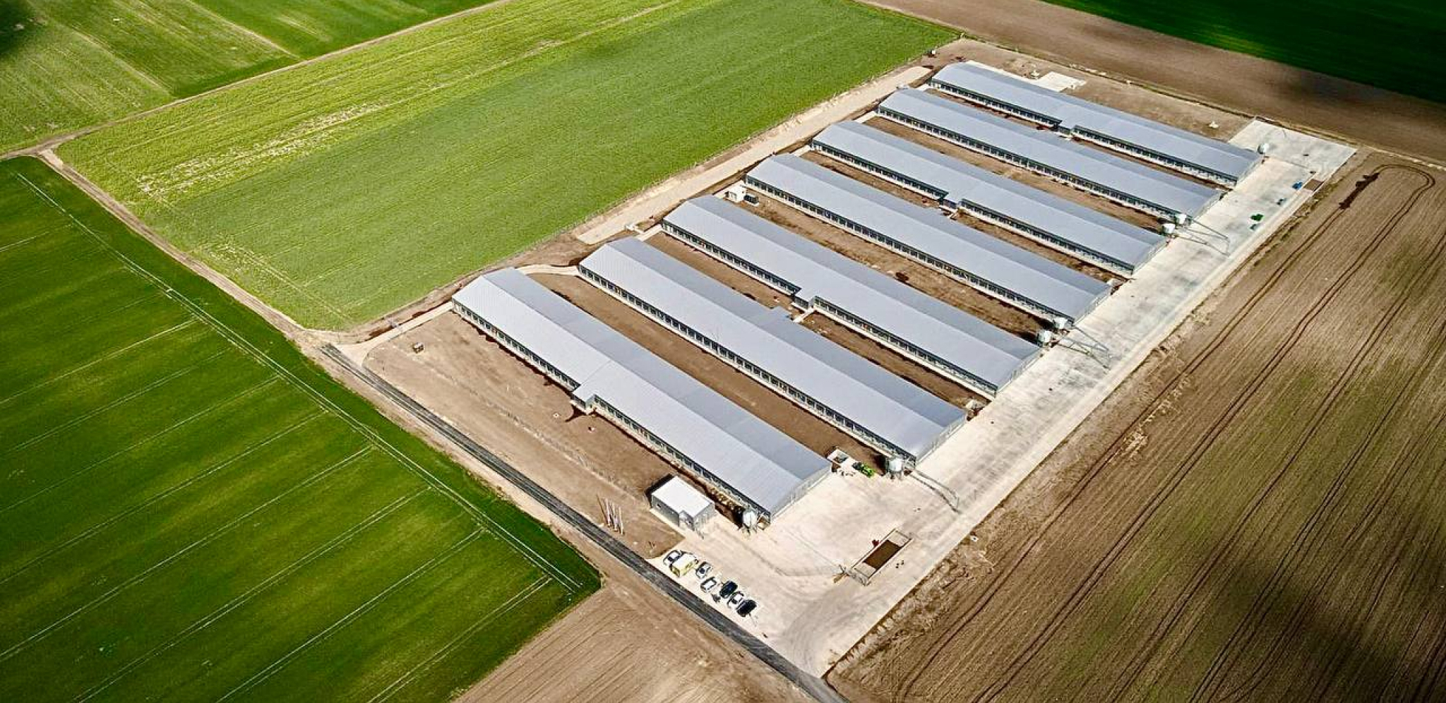 Perutnina Ptuj Topiko