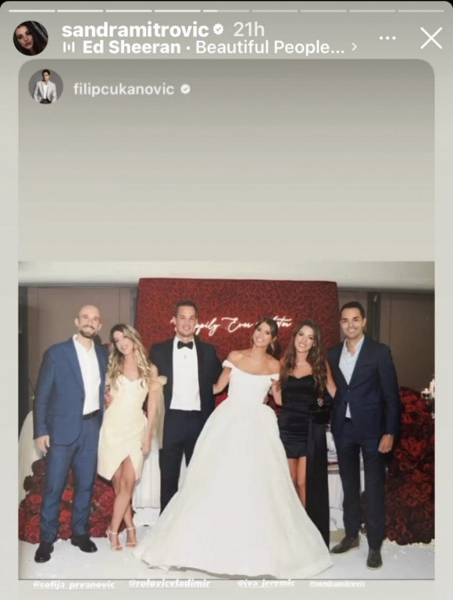 Porodica Mitrović