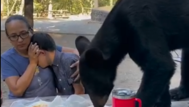 Medved napao ljude