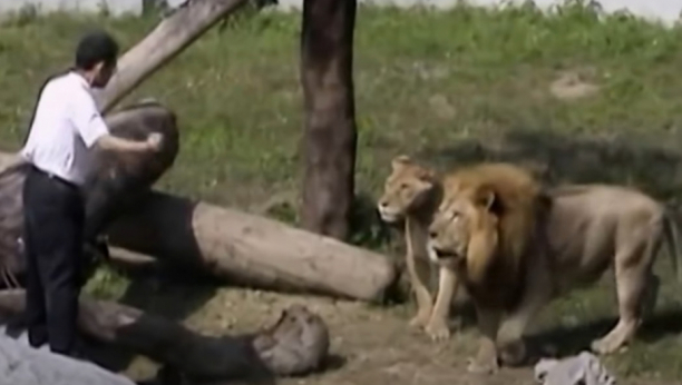 Sveštenik u kavezu sa lavovima