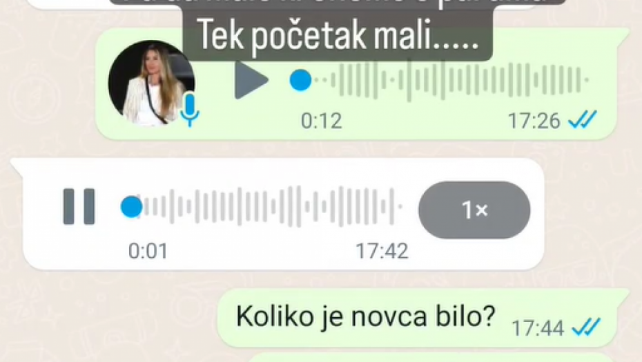 Ana objavila privatnu prepisku sa izvesnom Gocom