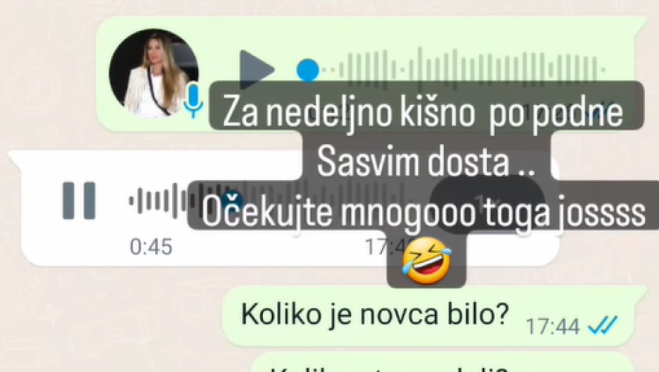 Ana objavila privatnu prepisku sa izvesnom Gocom