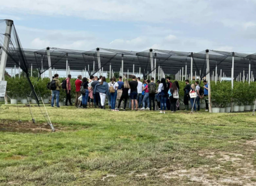 Upoznajte Branislava Rahara