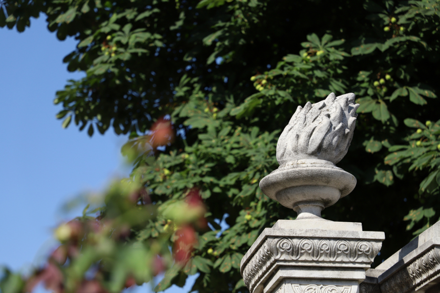 Novo groblje u Beogradu