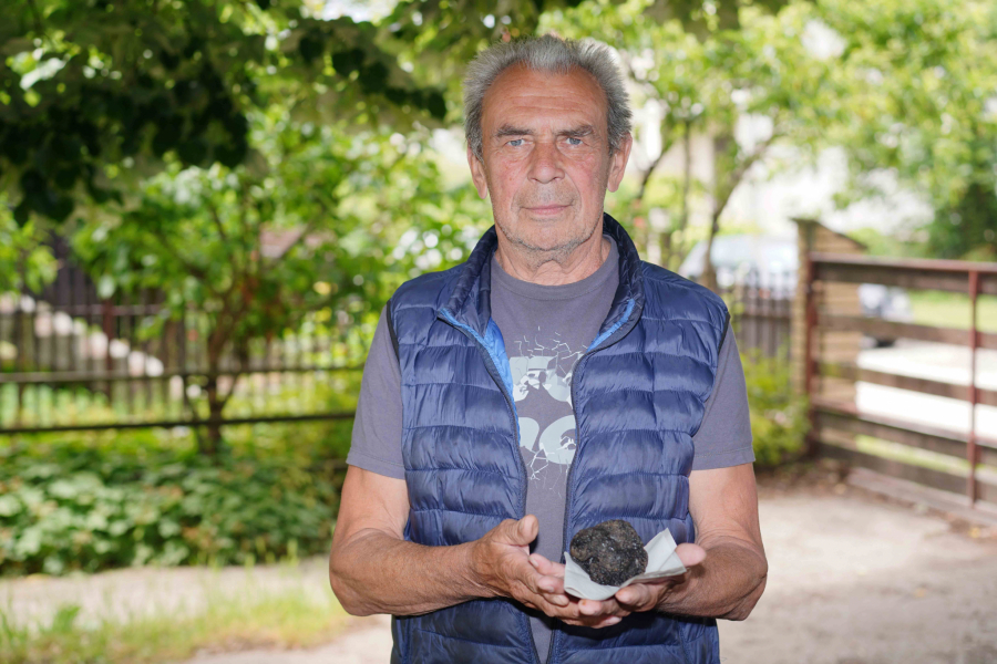 Retke gljive u Srbiji