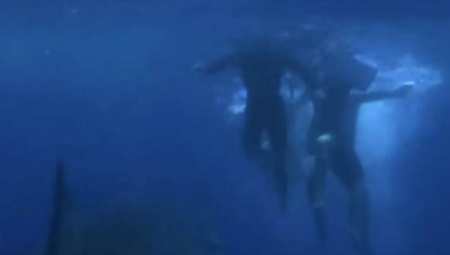 Velika bela ajkula - najveća koju je ikada u Atlantskom okeanu obeležila grupa za istraživanje mora - dužine 4,3 metra, težine oko 750 kilograma i starosti oko 32 godine, viđena je u Atlantskom okeanu.