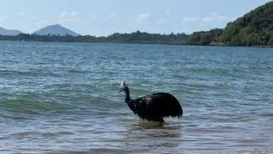 Queensland Government