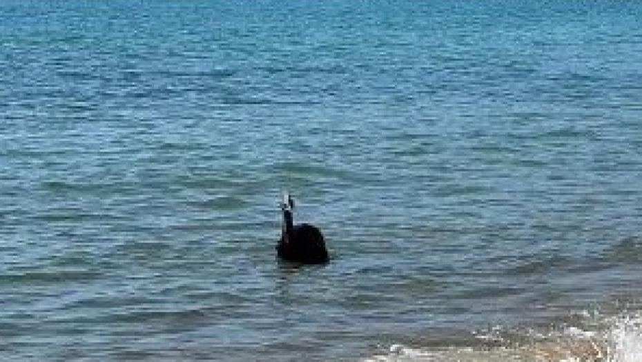 Queensland Government