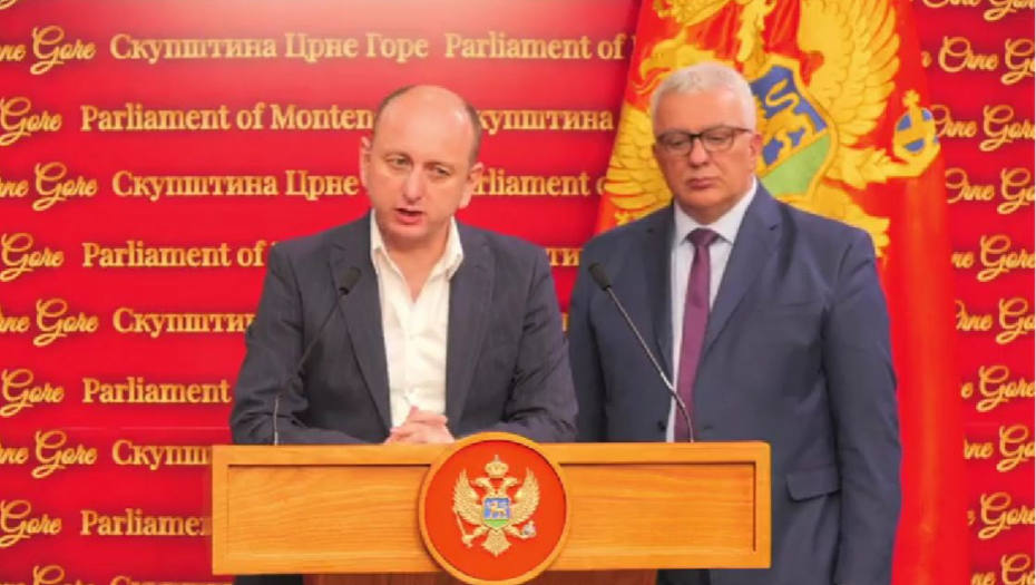 milan knežević i andrija mandić