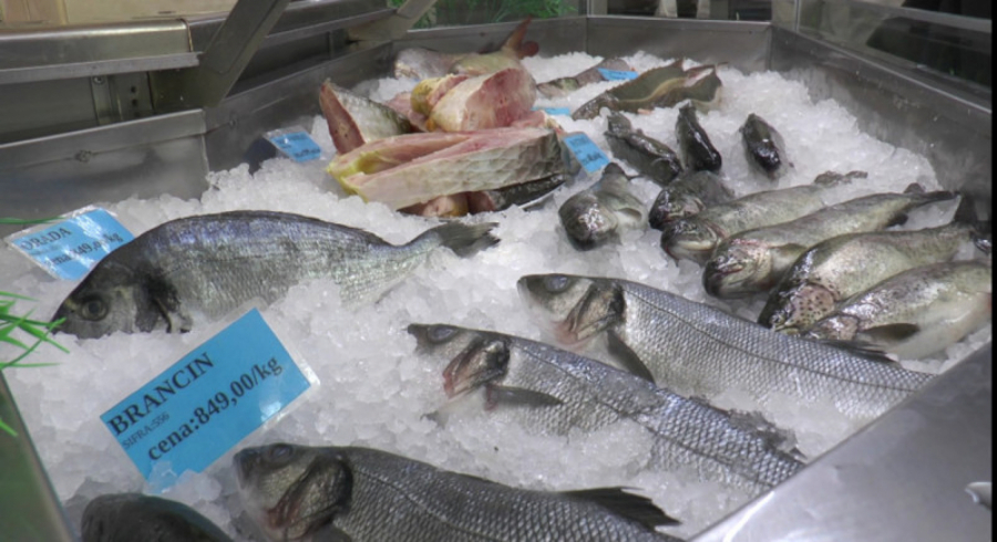 Cene ribe na čačanskoj pijaci